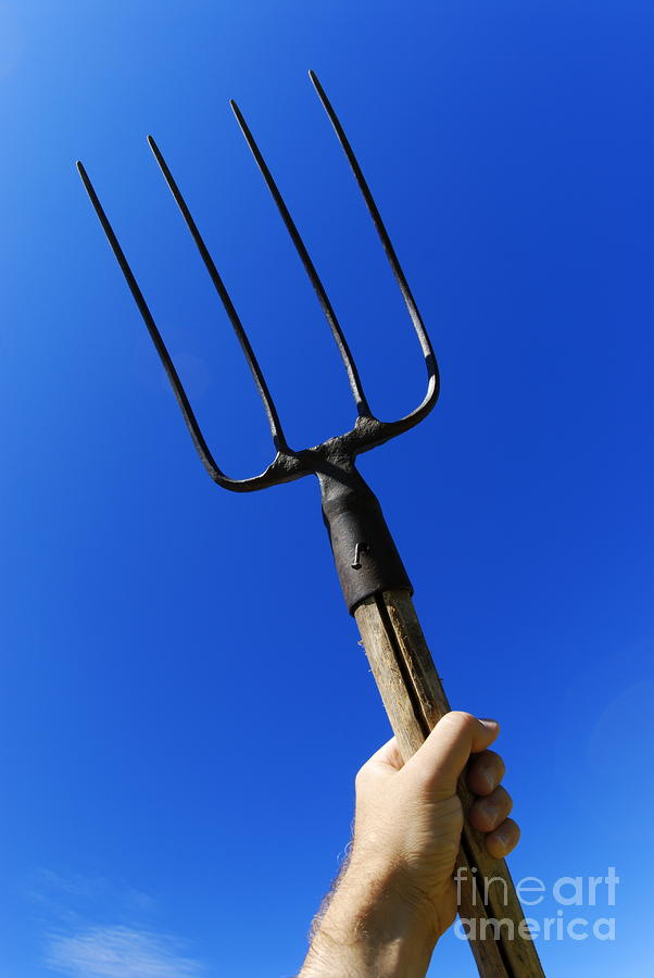 FORKED!